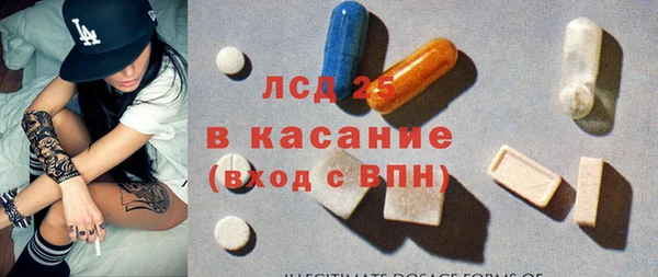 прущие грибы Армянск