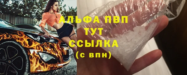 прущие грибы Армянск
