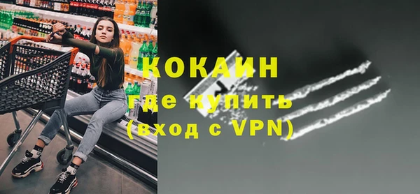 прущие грибы Армянск