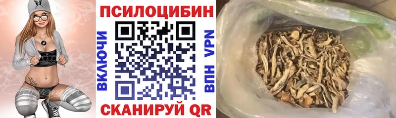 Галлюциногенные грибы мицелий  даркнет клад  Озёрск  KRAKEN зеркало 